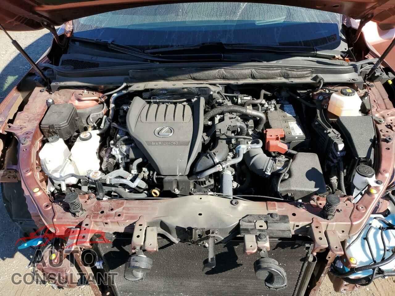 LEXUS RX350 2023 - 2T2BAMCA2PC011322