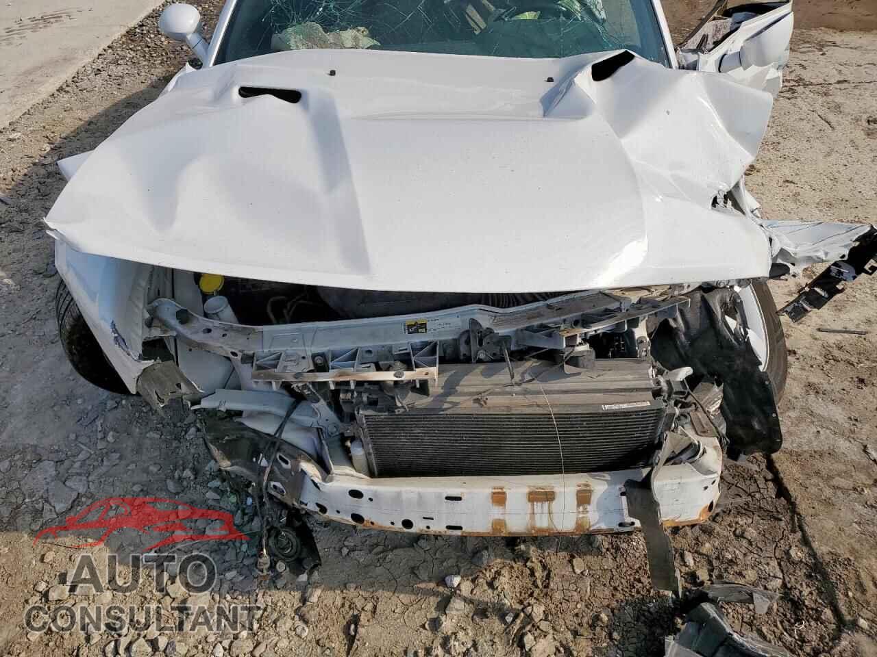 DODGE CHALLENGER 2013 - 2C3CDYAG7DH530855