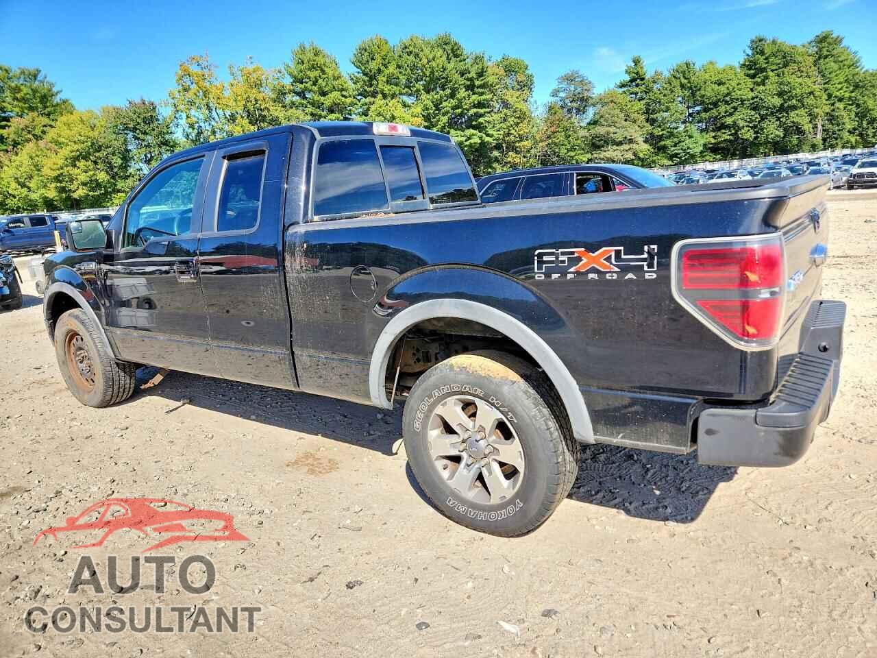 FORD F150 2011 - 1FTFX1EF8BFB19908