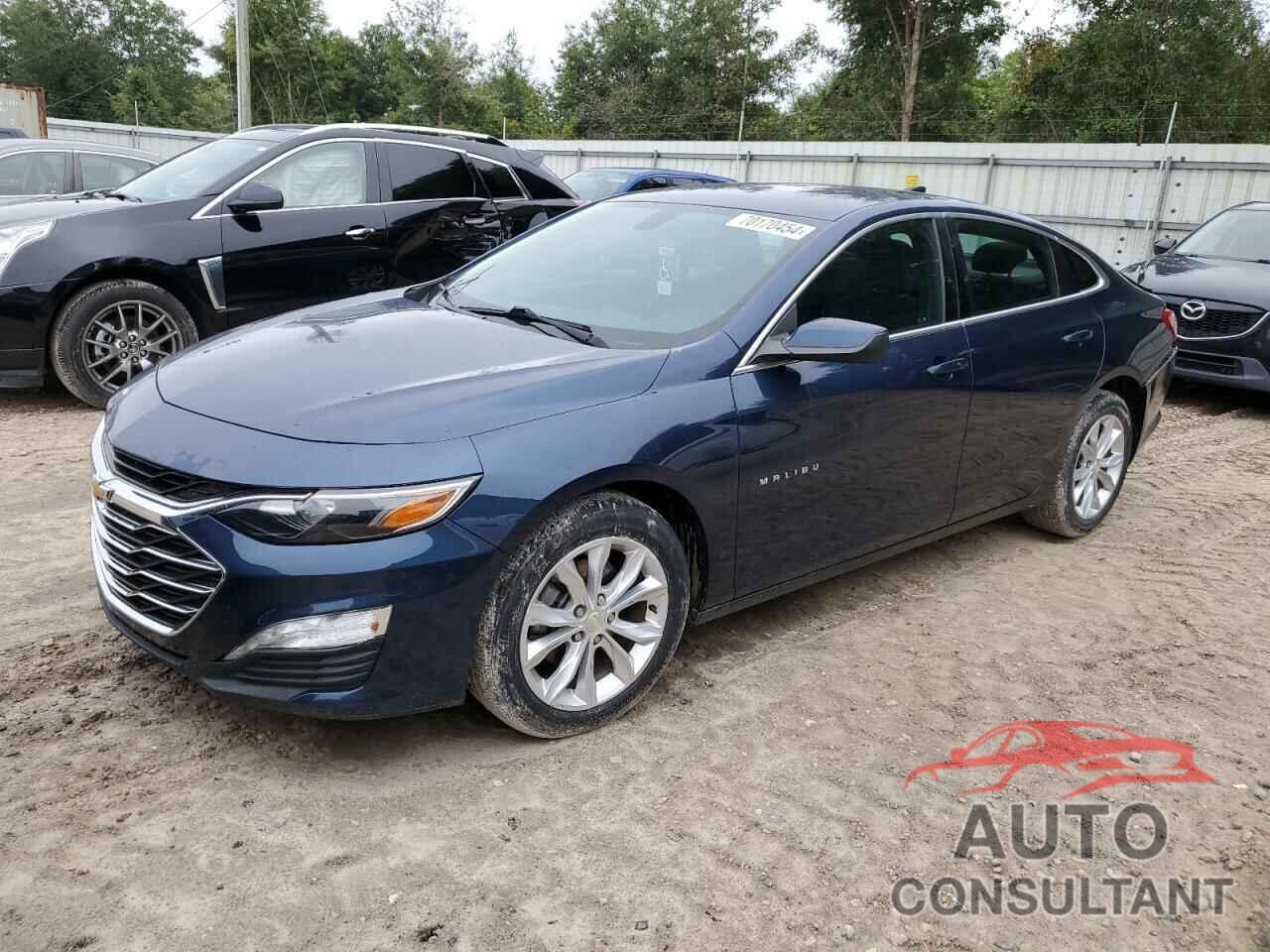 CHEVROLET MALIBU 2019 - 1G1ZD5ST1KF153947