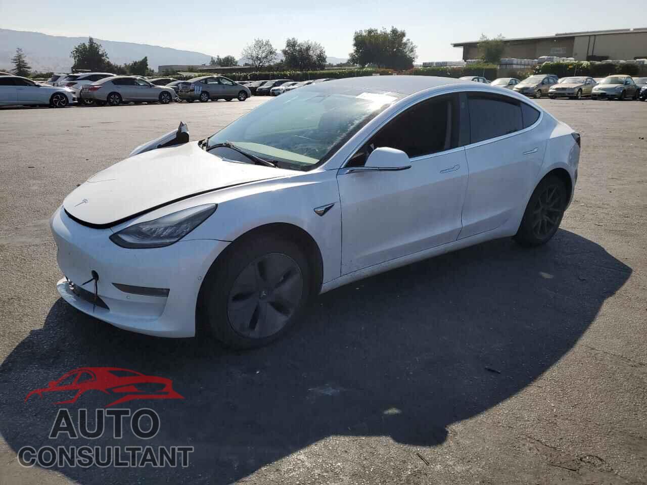 TESLA MODEL 3 2019 - 5YJ3E1EB5KF494097
