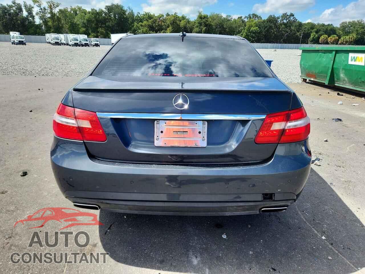 MERCEDES-BENZ E-CLASS 2010 - WDDHF5GB0AA206183