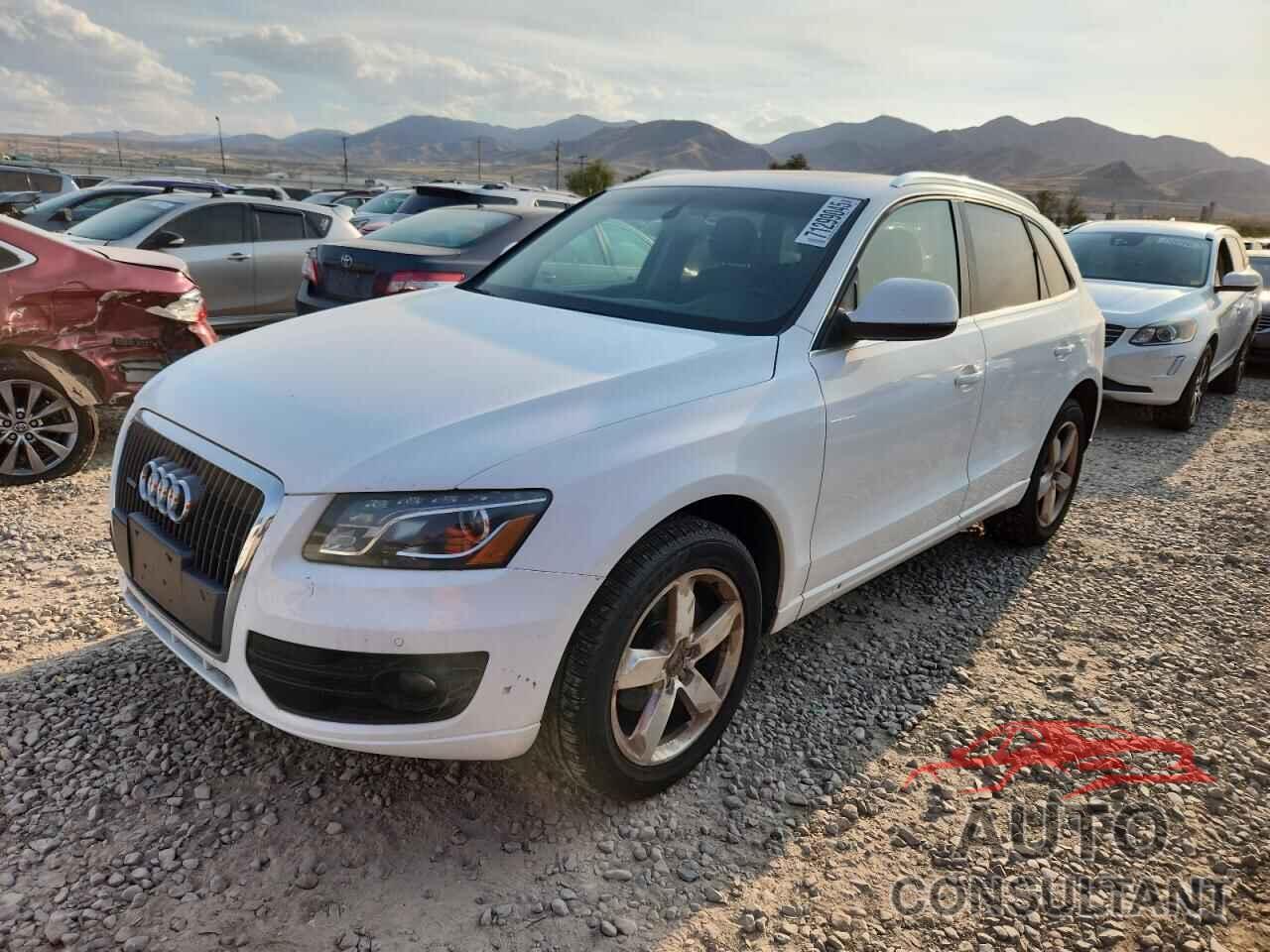 AUDI Q5 2011 - WA1LFAFPXBA030460