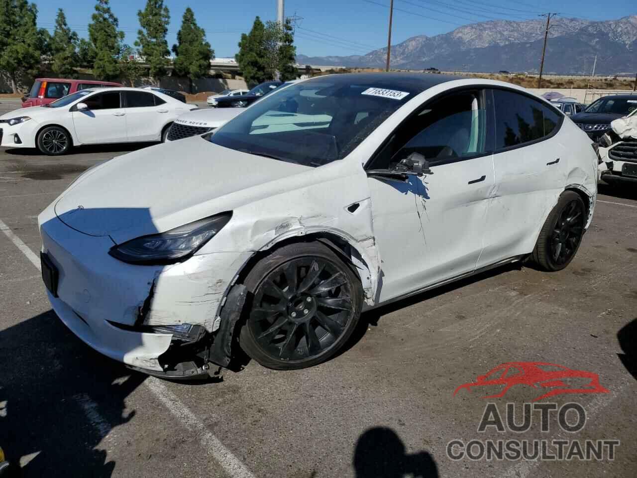 TESLA MODEL Y 2021 - 5YJYGDED2MF163189