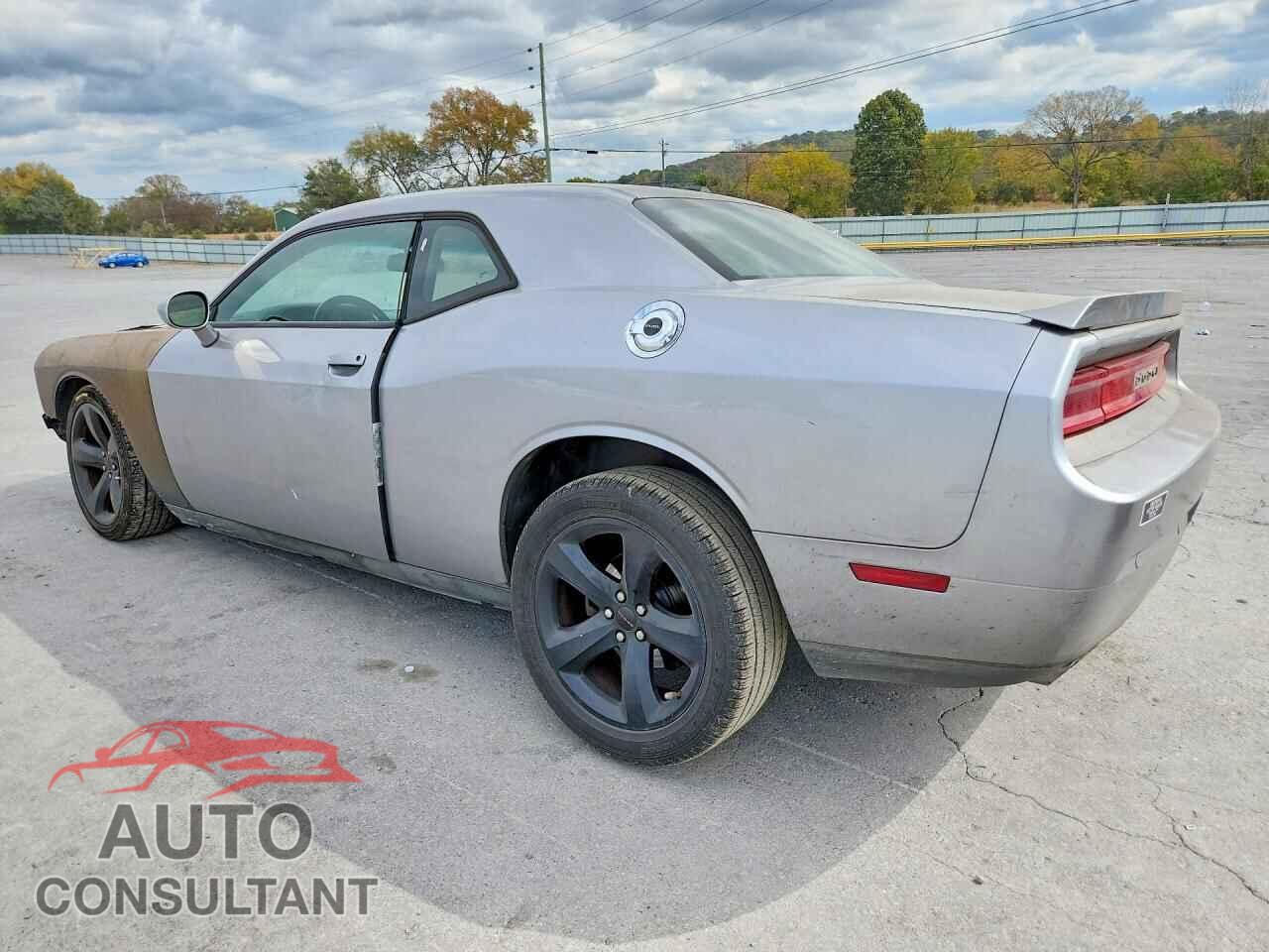 DODGE CHALLENGER 2013 - 2C3CDYAG0DH634314