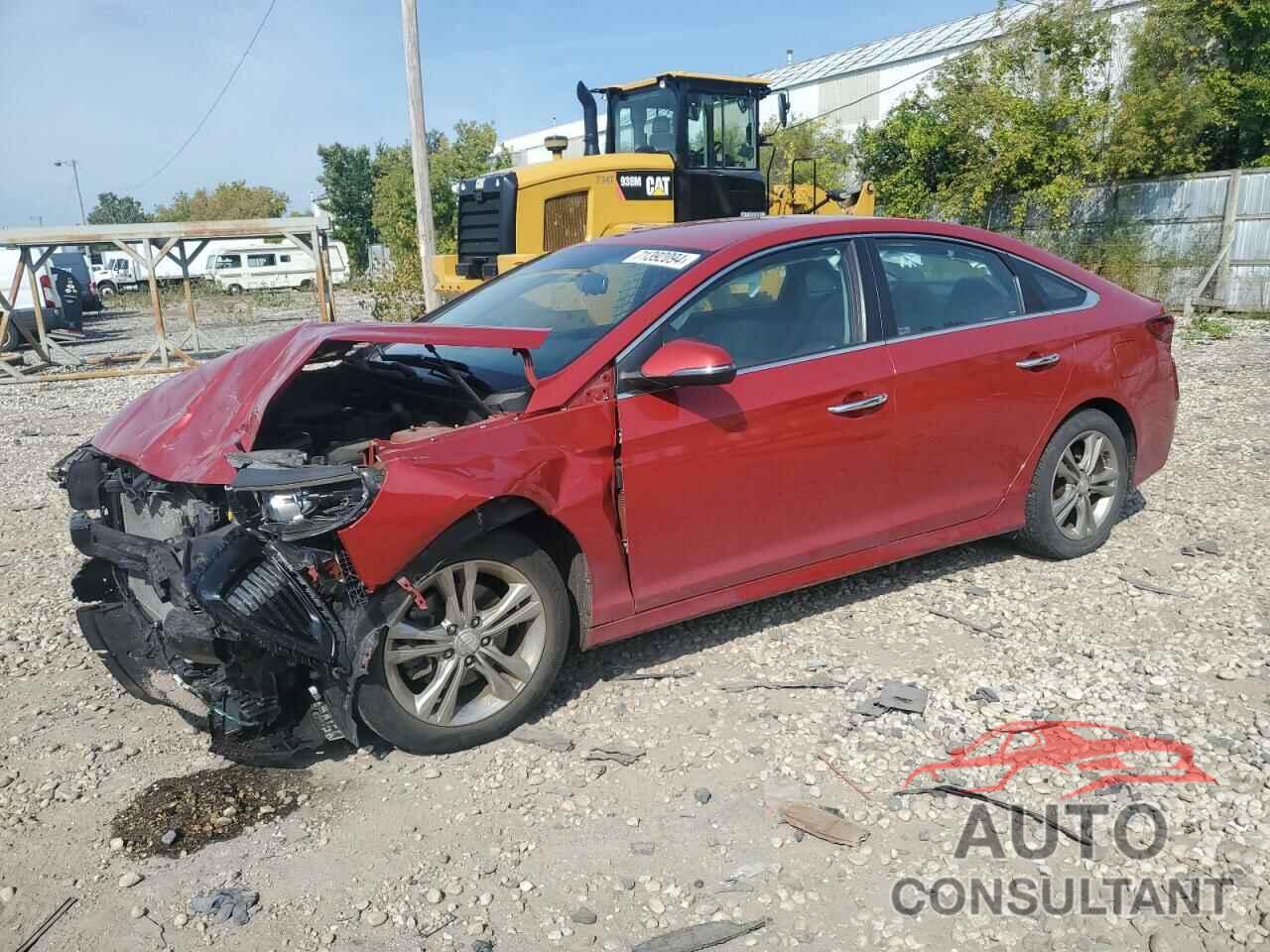 HYUNDAI SONATA 2019 - 5NPE34AF7KH795805