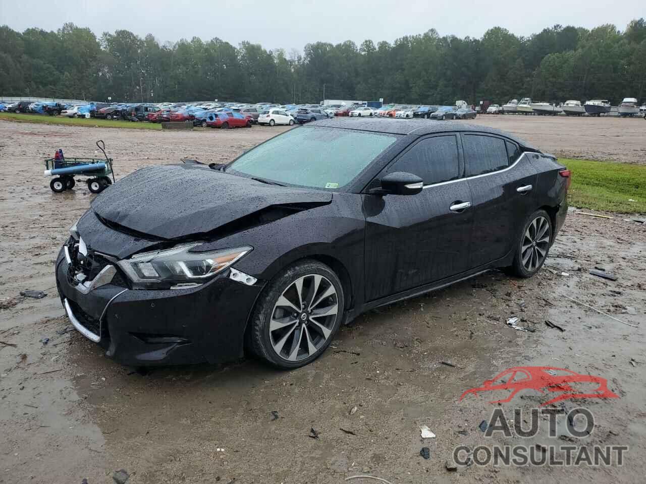 NISSAN MAXIMA 2016 - 1N4AA6AP1GC437892