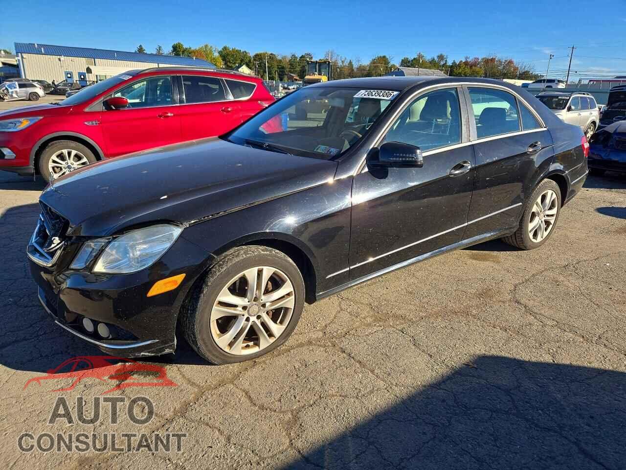 MERCEDES-BENZ E-CLASS 2010 - WDDHF8HB1AA239080