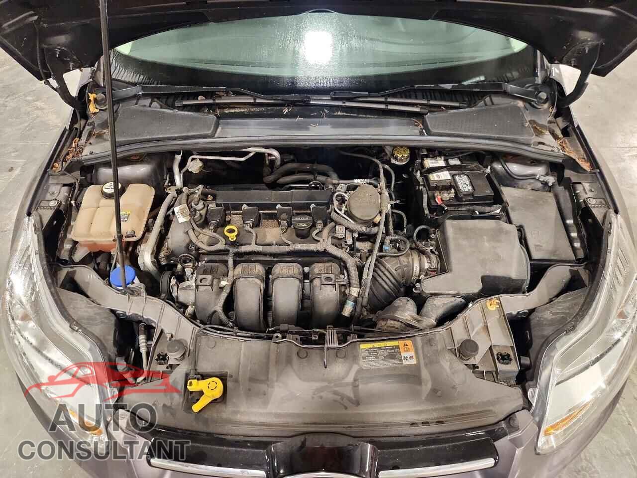 FORD FOCUS 2012 - 1FAHP3H2XCL321994