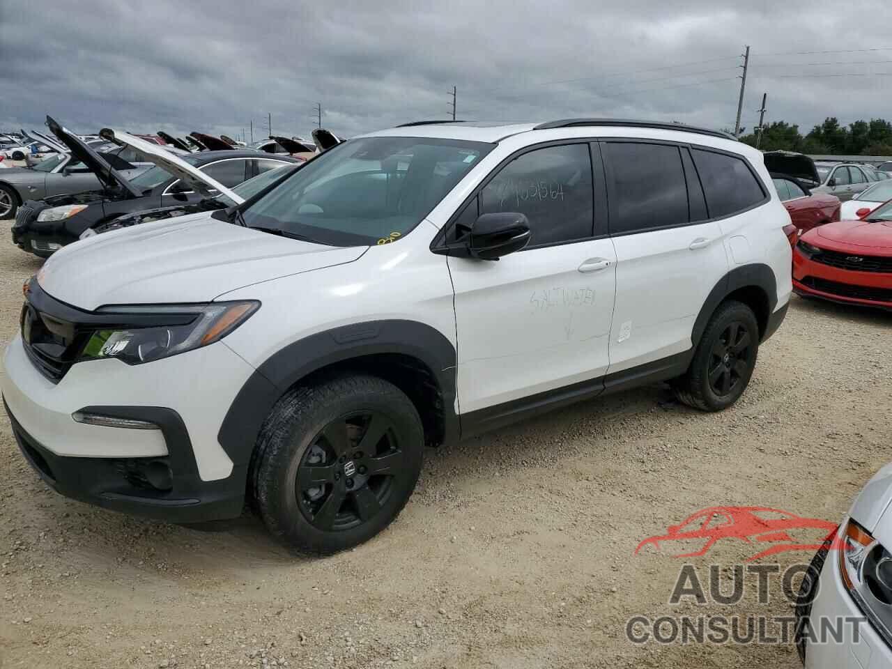 HONDA PILOT 2022 - 5FNYF6H81NB071795