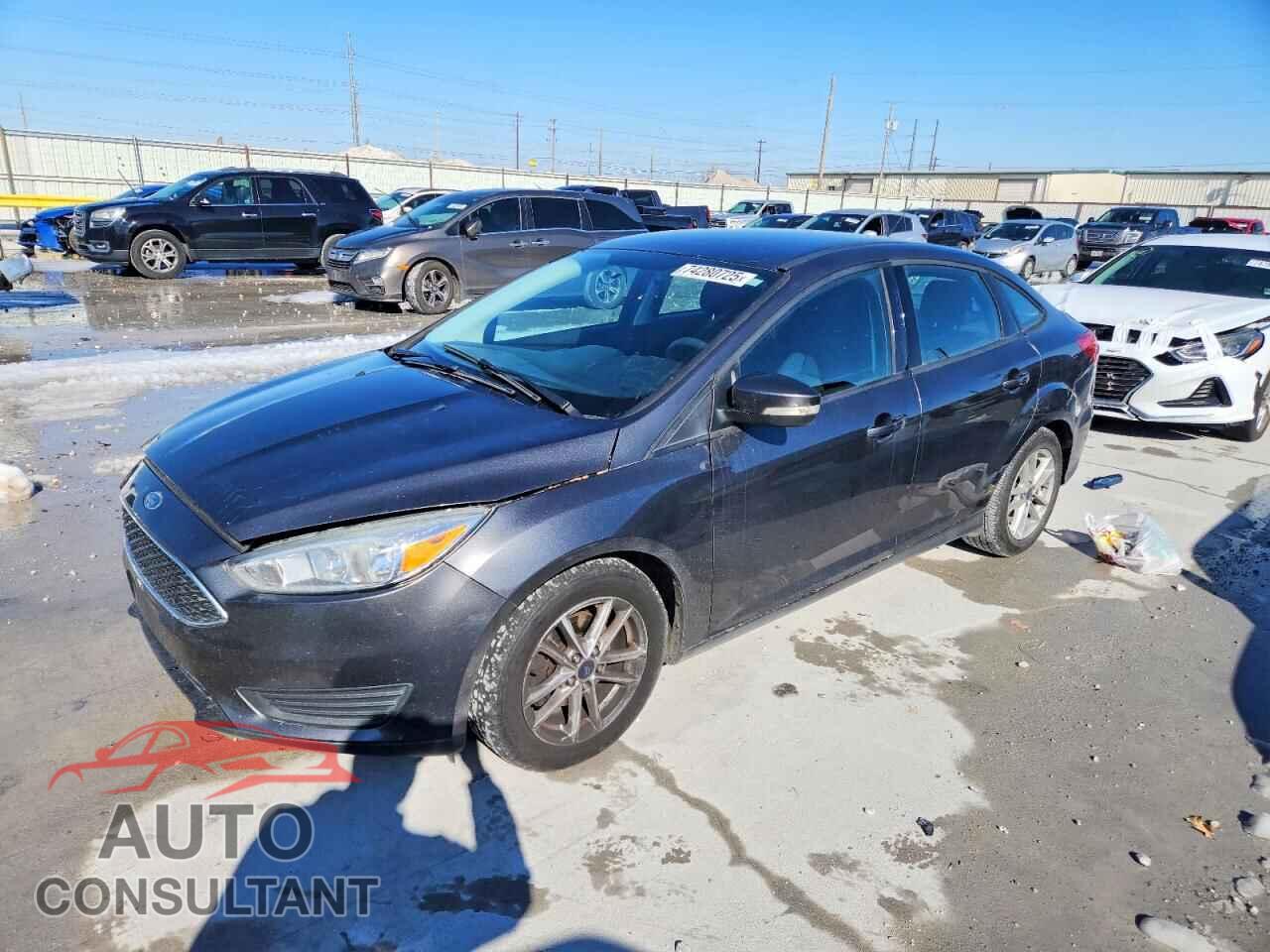 FORD FOCUS 2016 - 1FADP3F2XGL378686