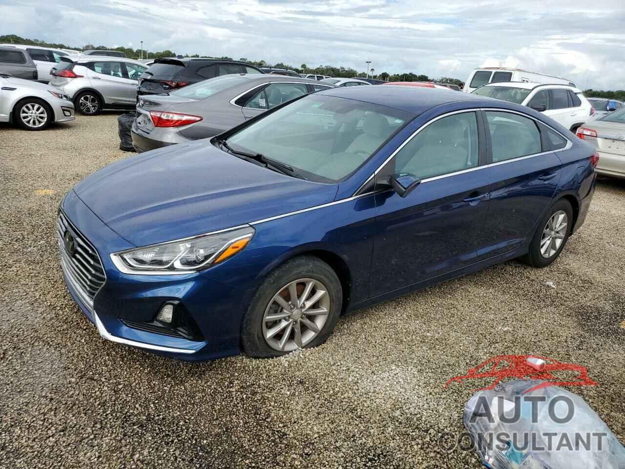 HYUNDAI SONATA 2019 - 5NPE24AF0KH752961