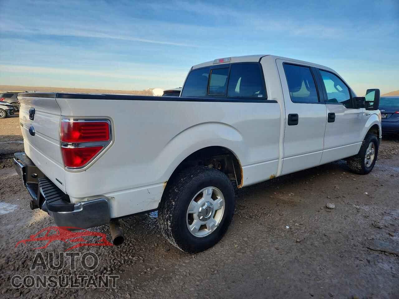 FORD F-150 2013 - 1FTFW1EF8DFD27955