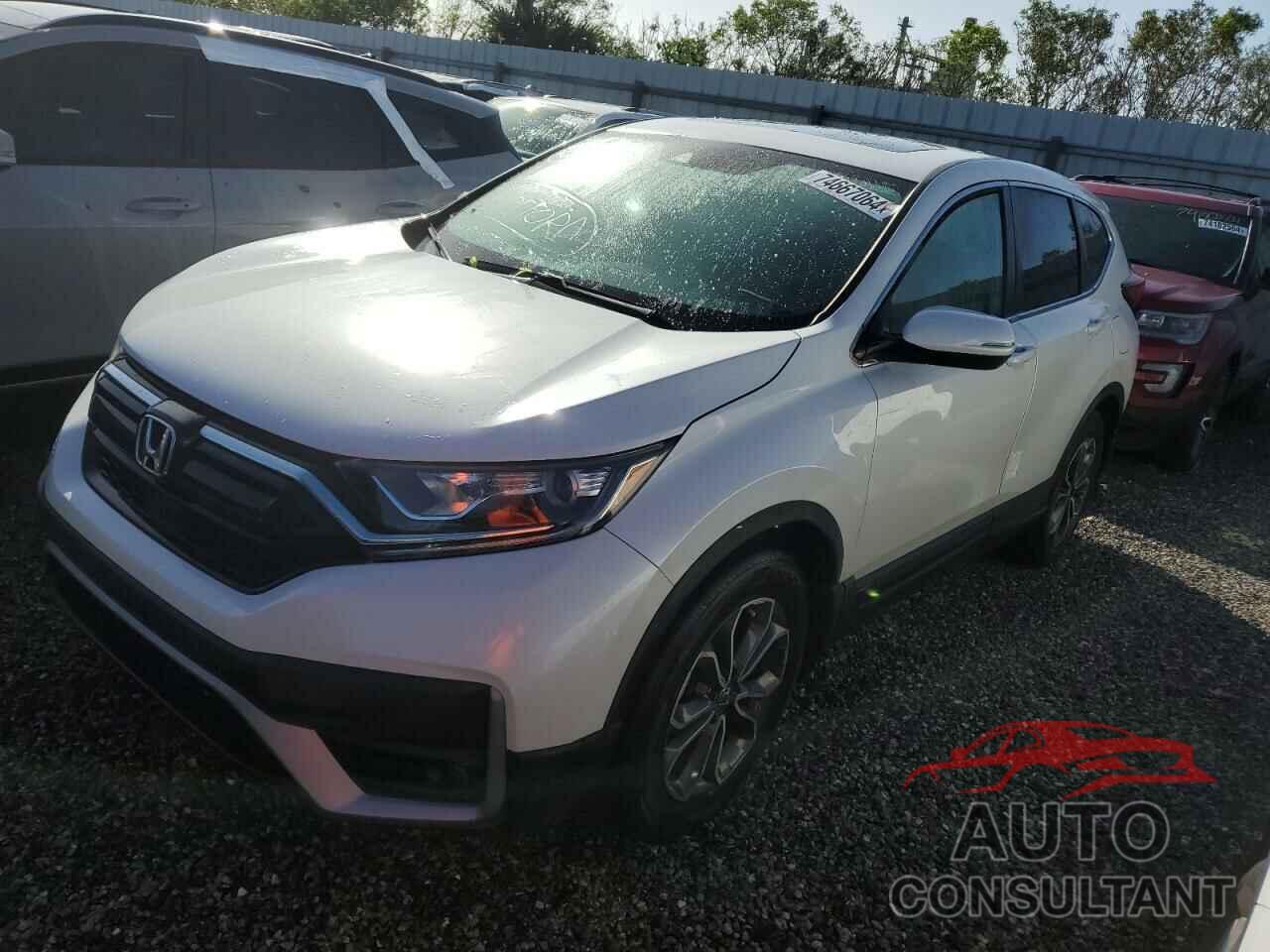 HONDA CRV 2020 - 5J6RW1H82LL003307