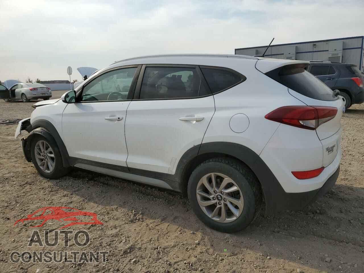 HYUNDAI TUCSON 2017 - KM8J3CA41HU388564
