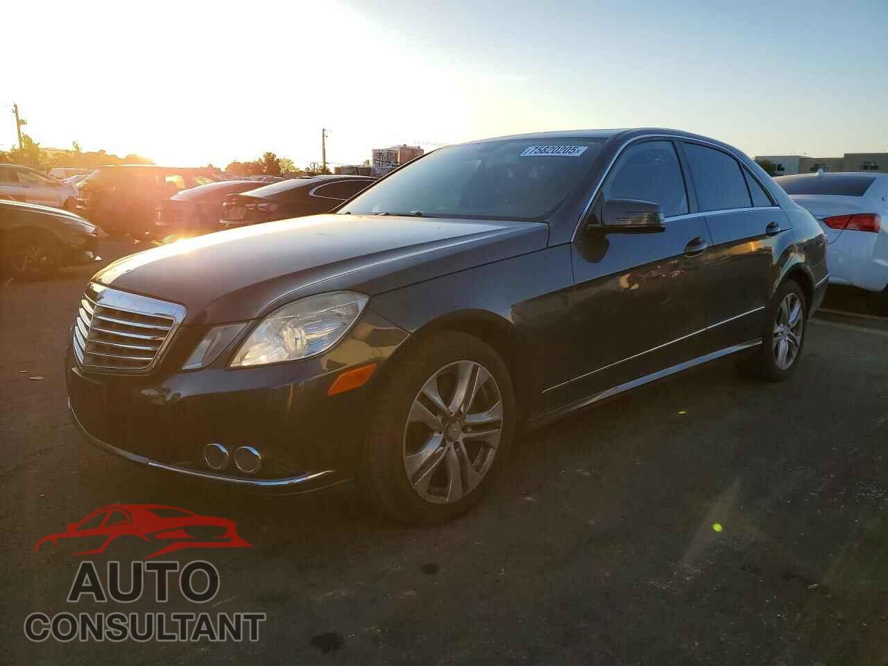 MERCEDES-BENZ E-CLASS 2010 - WDDHF5GB8AA203998