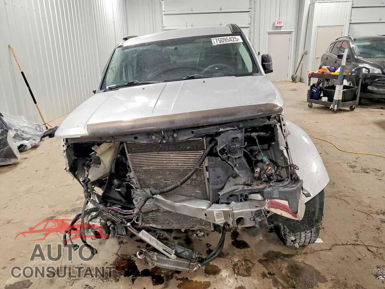 DODGE NITRO 2010 - 1D4PU2GKXAW170700
