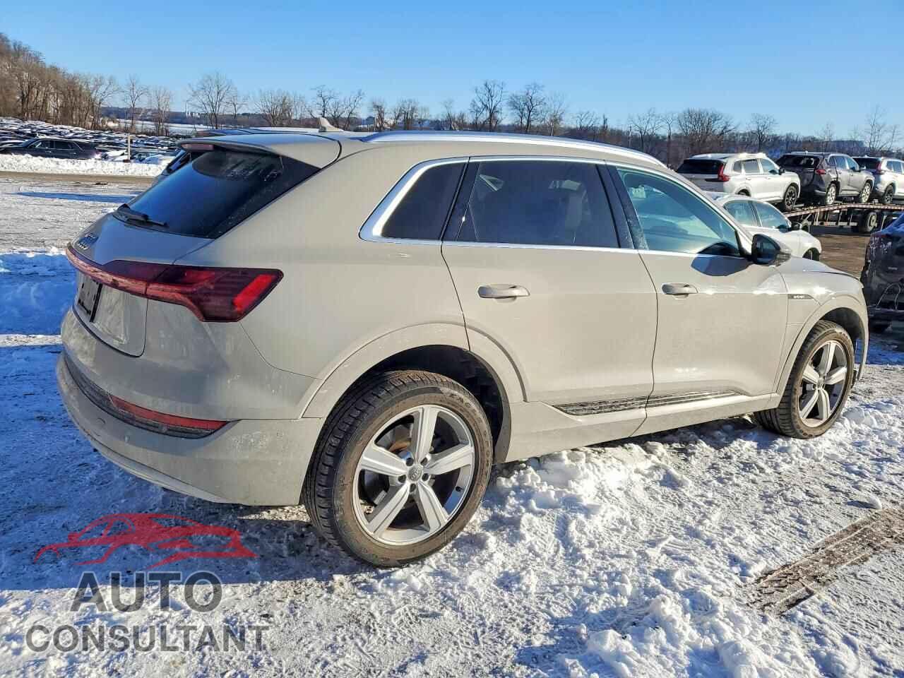 AUDI E-TRON 2019 - WA1VAAGE1KB014033