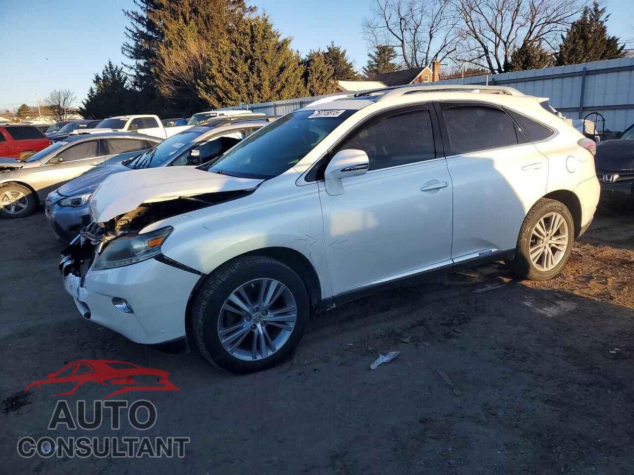 LEXUS RX 450H 2015 - 2T2BC1BA1FC007318