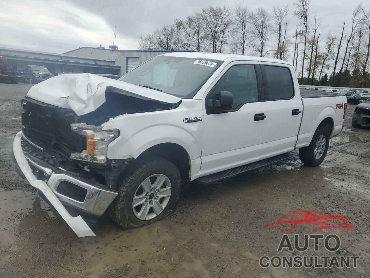 FORD F-150 2019 - 1FTFW1E41KKD09266