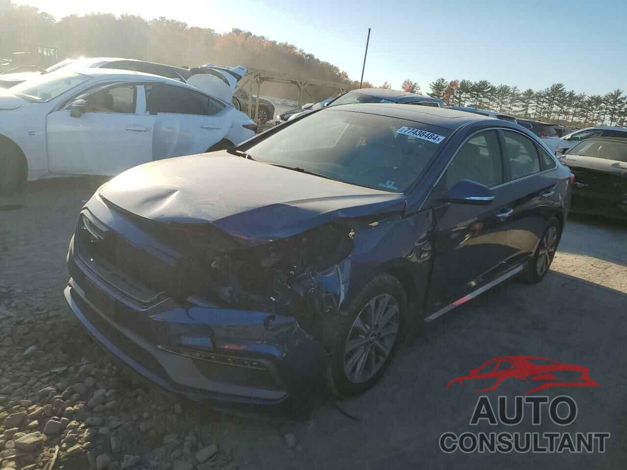 HYUNDAI SONATA 2017 - 5NPE34AF5HH467680