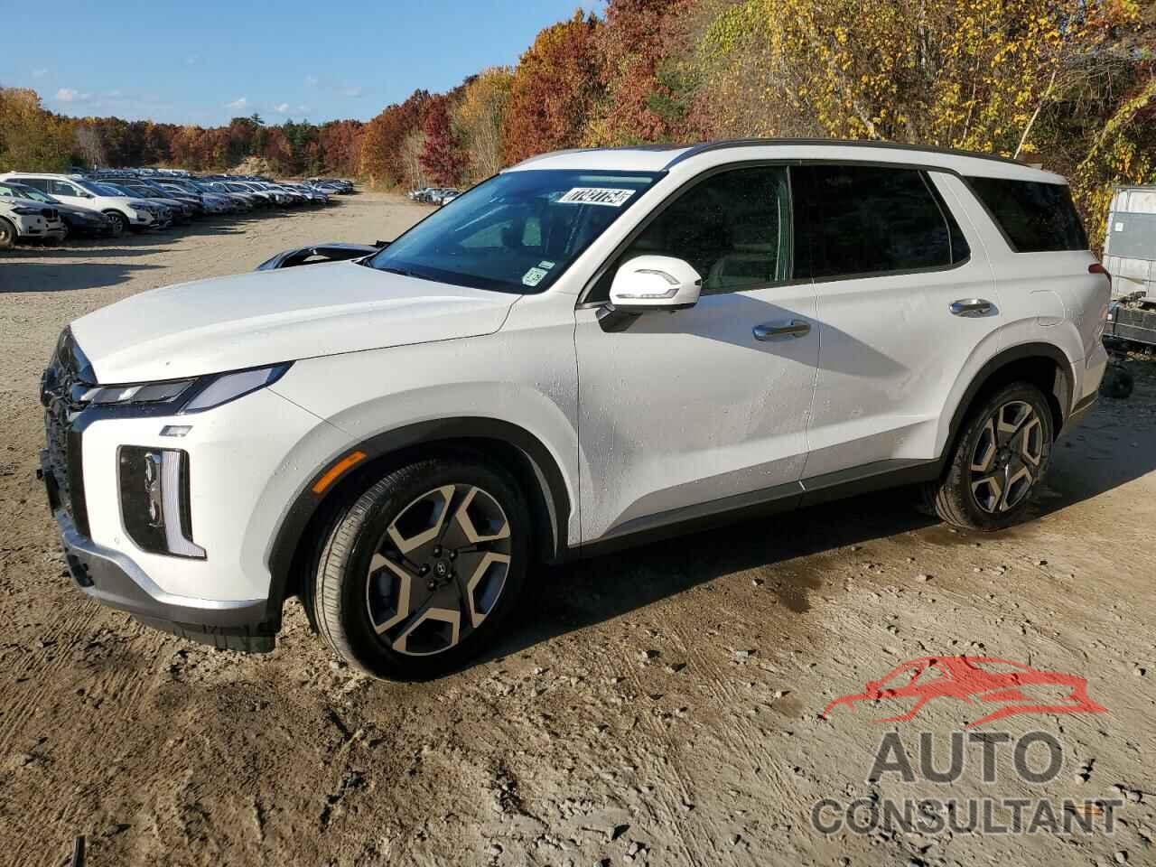 HYUNDAI PALISADE 2024 - KM8R4DGE2RU711950