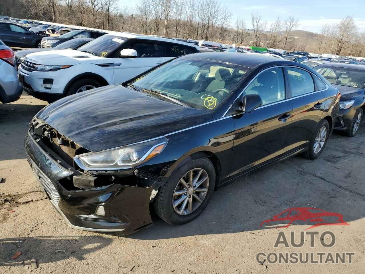 HYUNDAI SONATA 2019 - 5NPE24AF3KH750265