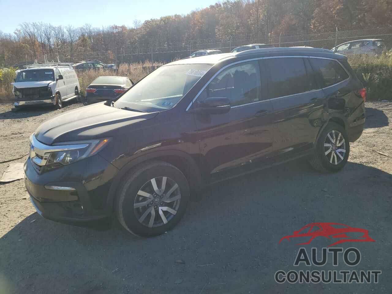 HONDA PILOT 2019 - 5FNYF6H54KB041191