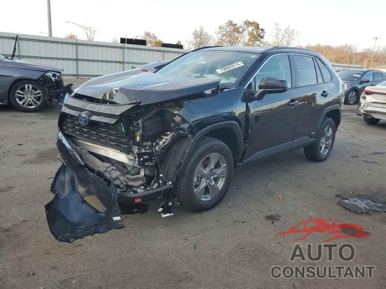 TOYOTA RAV4 2024 - 4T3LWRFV4RU157350