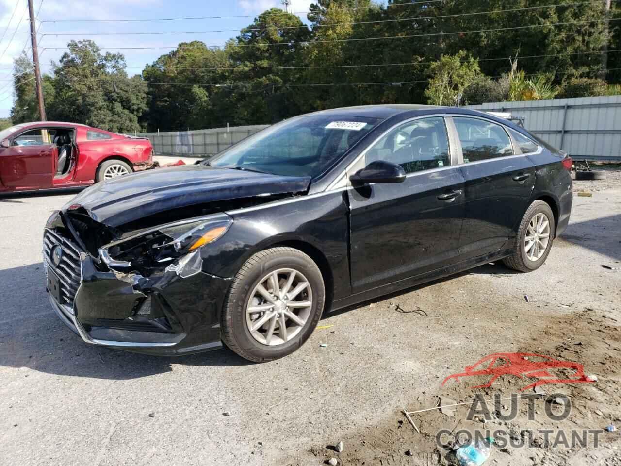 HYUNDAI SONATA 2019 - 5NPE24AF5KH743740