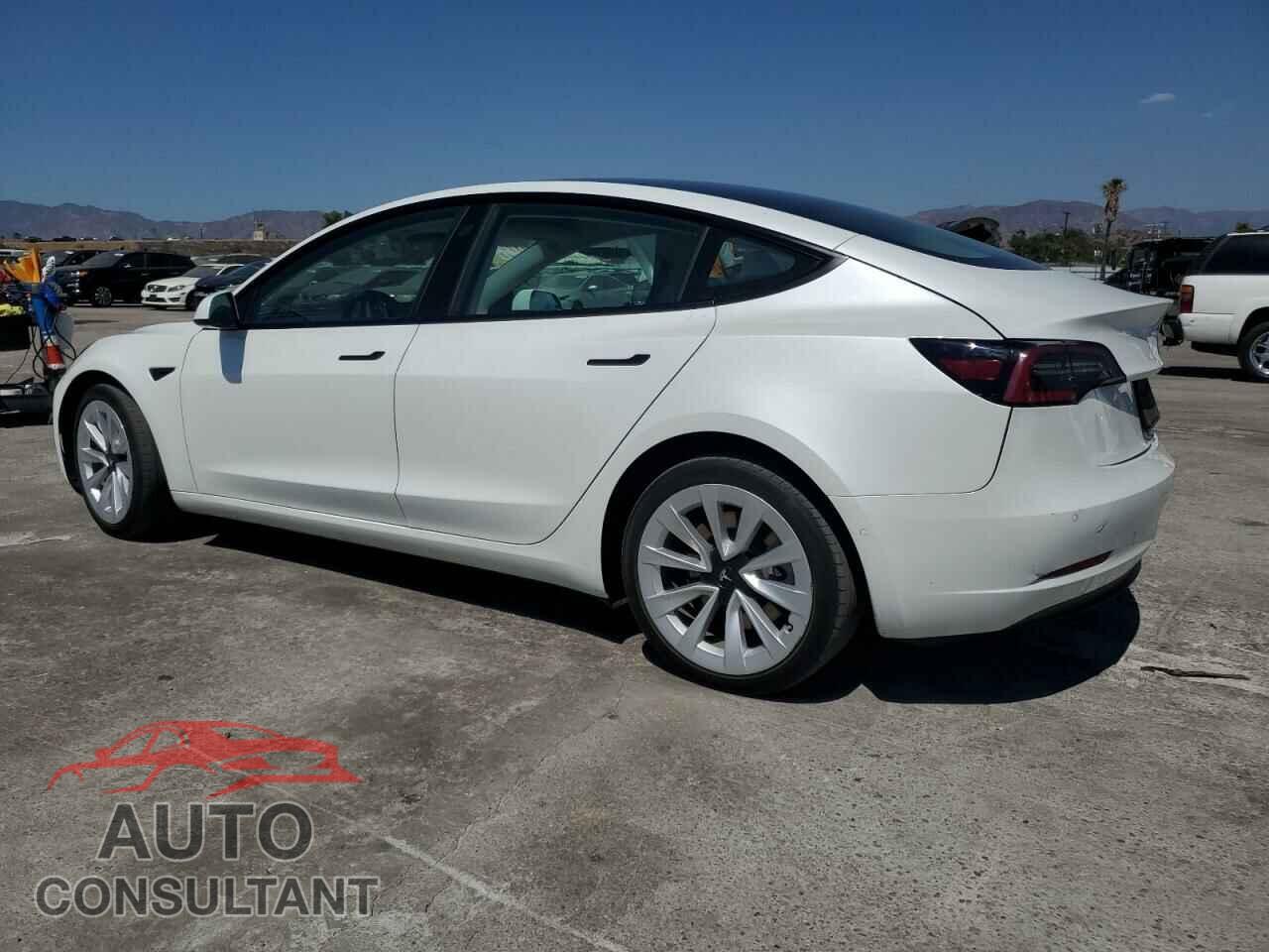 TESLA MODEL 3 2021 - 5YJ3E1EA3MF019316