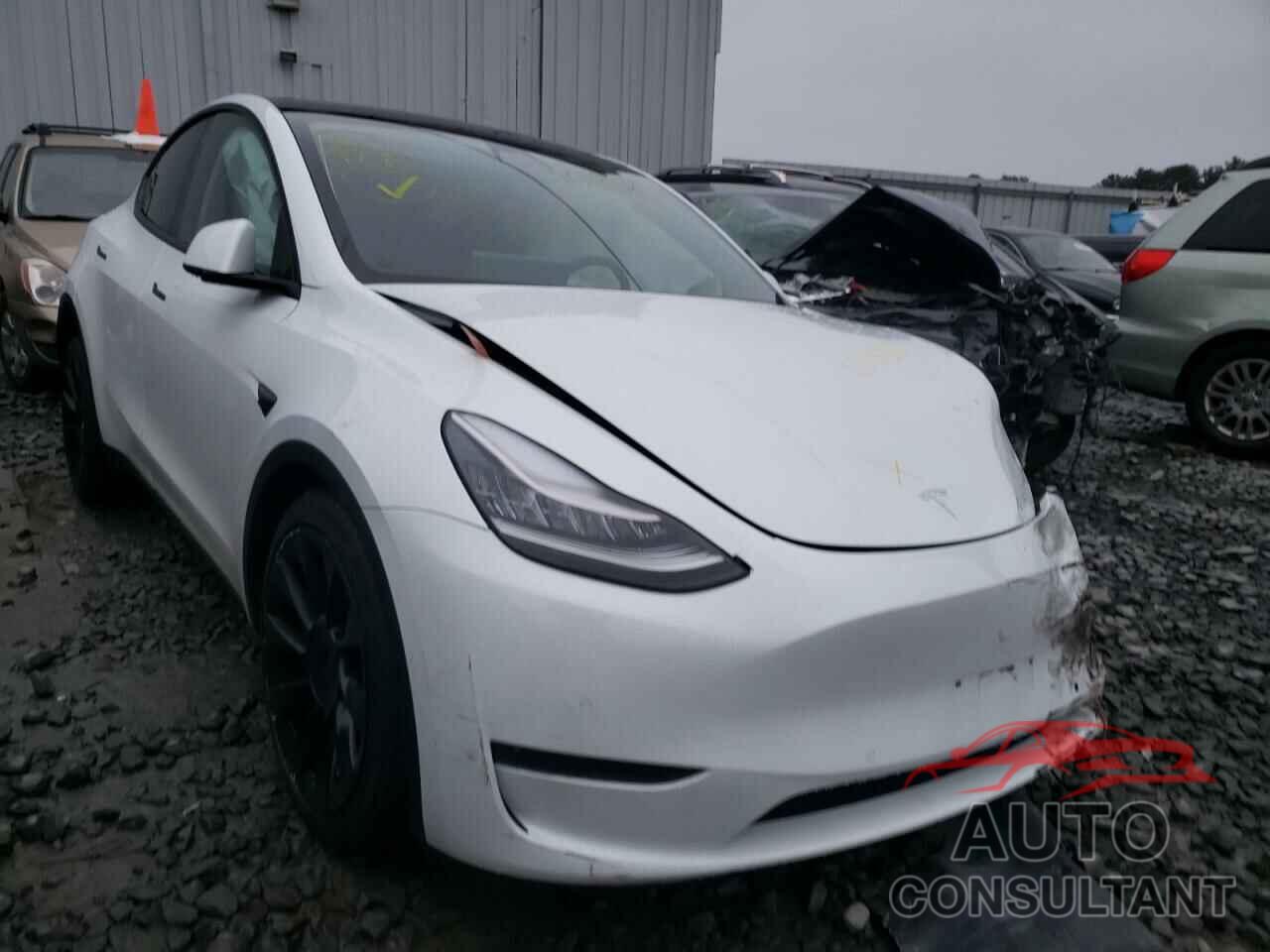 TESLA MODEL Y 2020 - 5YJYGDEE0LF034052