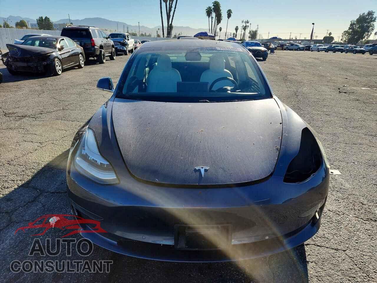 TESLA MODEL 3 2020 - 5YJ3E1EA2LF738118