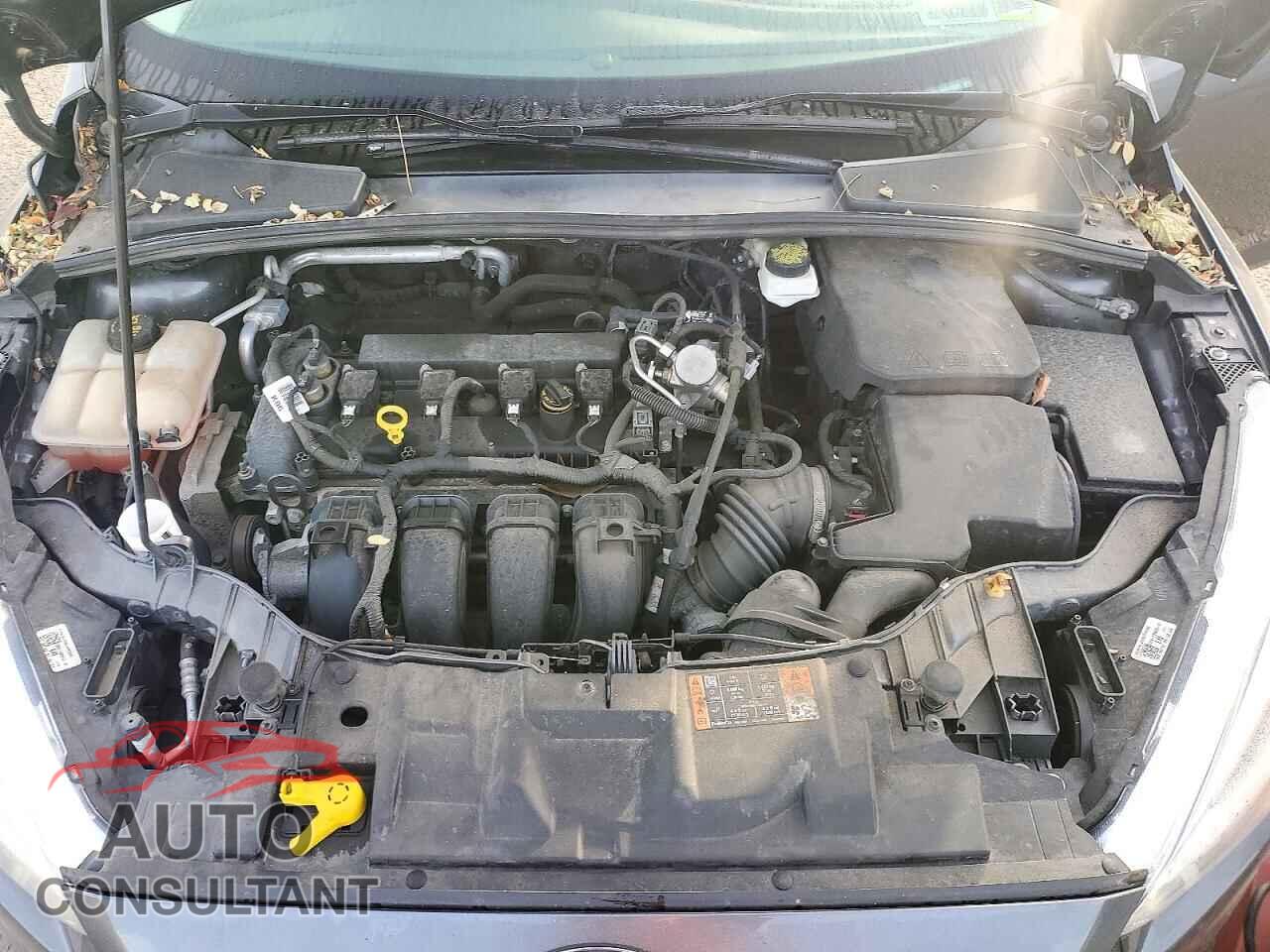FORD FOCUS 2017 - 1FADP3F24HL326567