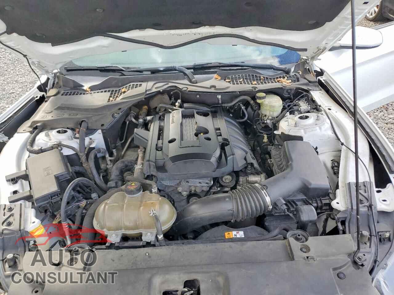 FORD MUSTANG 2016 - 1FA6P8TH3G5333866