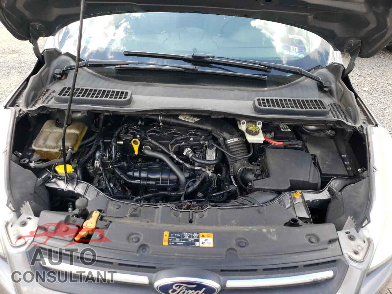 FORD ESCAPE 2013 - 1FMCU0GX1DUA76471