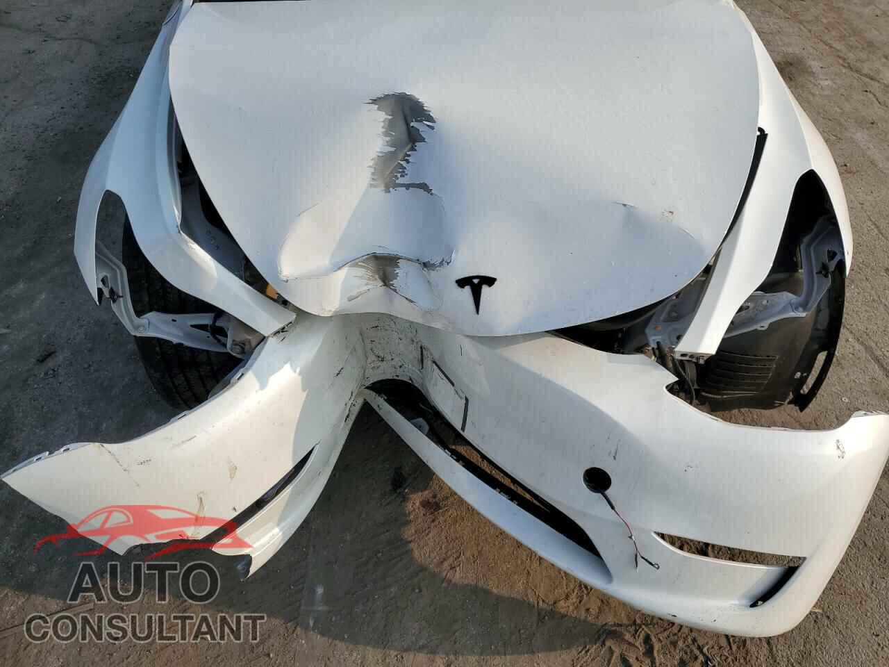 TESLA MODEL Y 2023 - 7SAYGDEE4PF697259