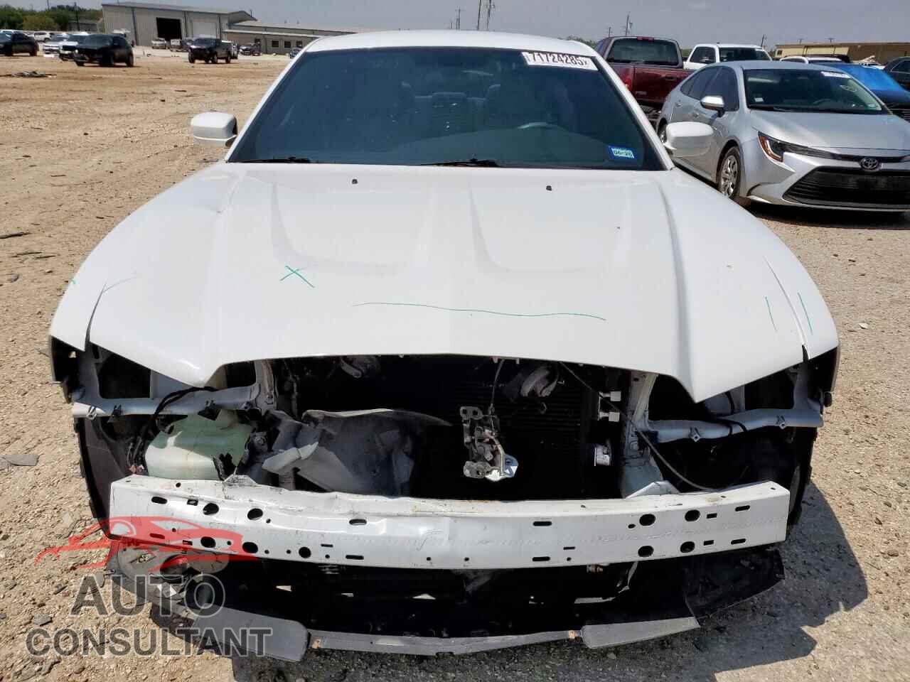 DODGE CHARGER 2014 - 2C3CDXBG0EH366343