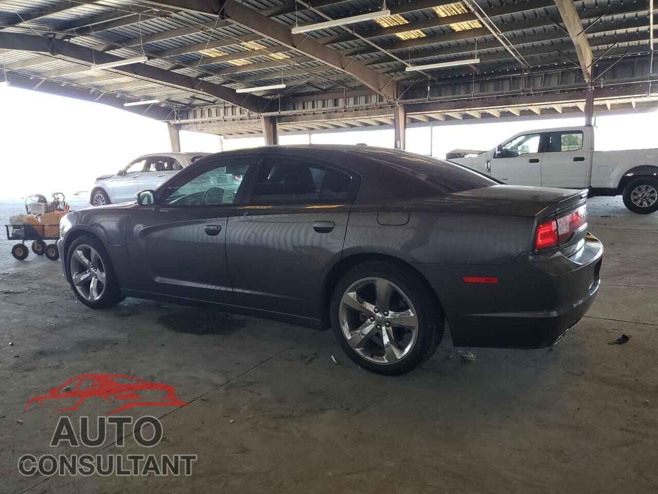 DODGE CHARGER 2014 - 2C3CDXCT8EH271556