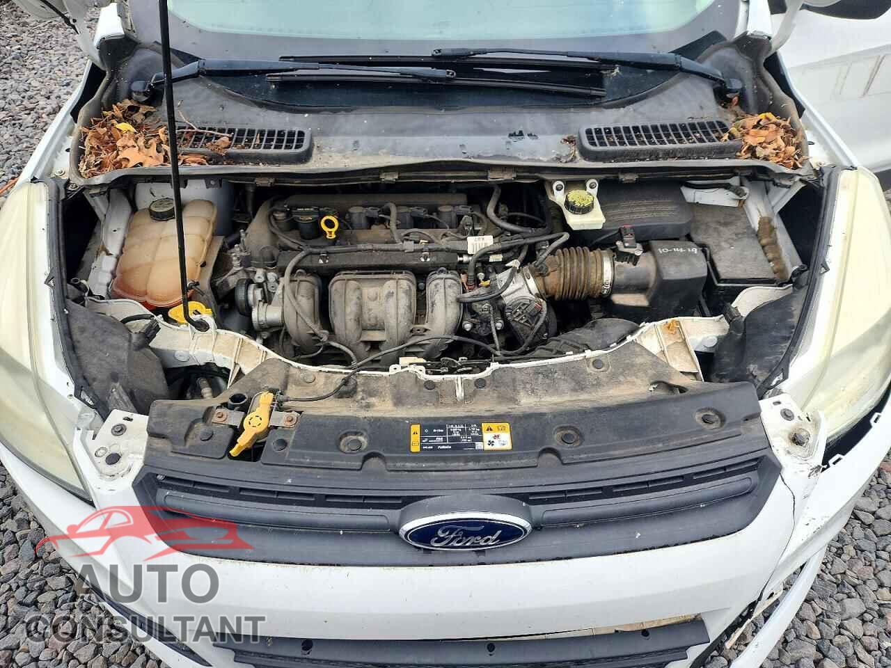 FORD ESCAPE 2013 - 1FMCU0F71DUC84366