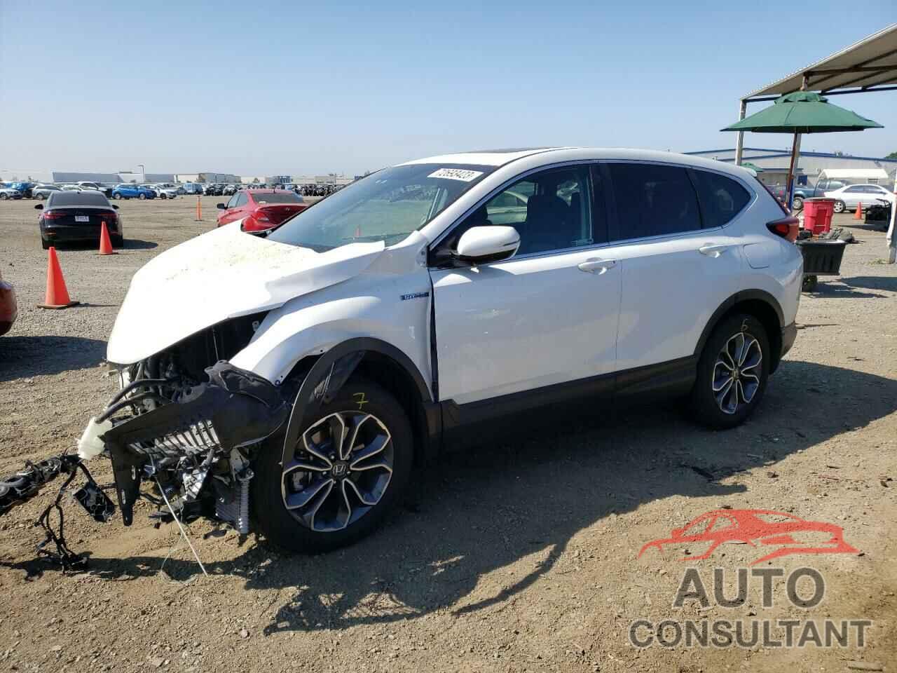 HONDA CRV 2022 - 5J6RT6H55NL046442