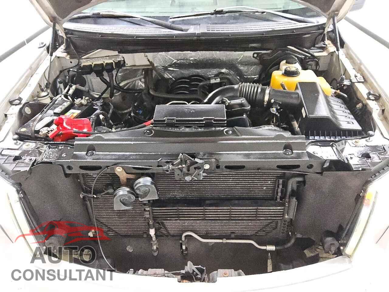FORD F150 2013 - 1FTFX1EF3DFD25396