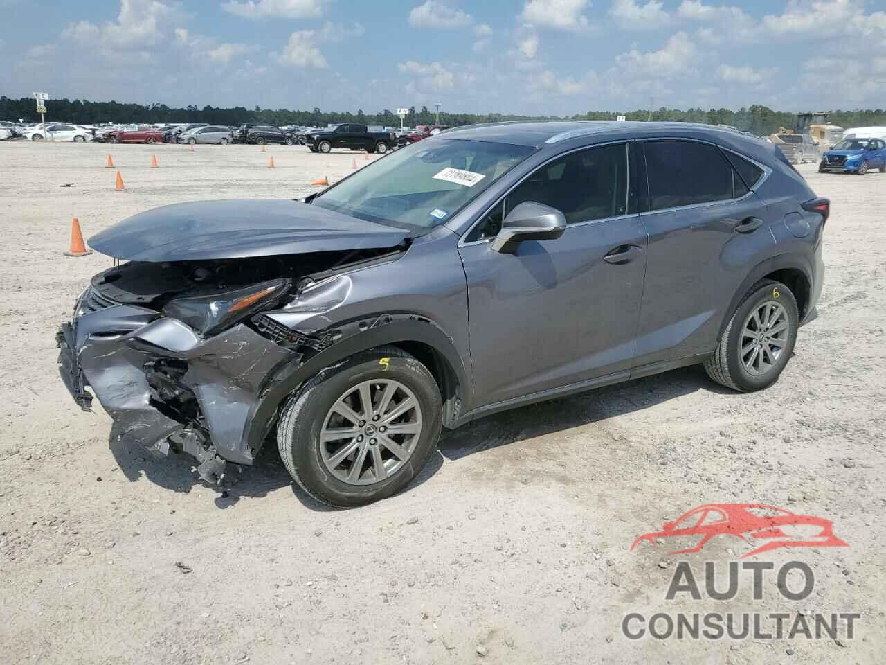 LEXUS NX 2019 - JTJYARBZ3K2140676