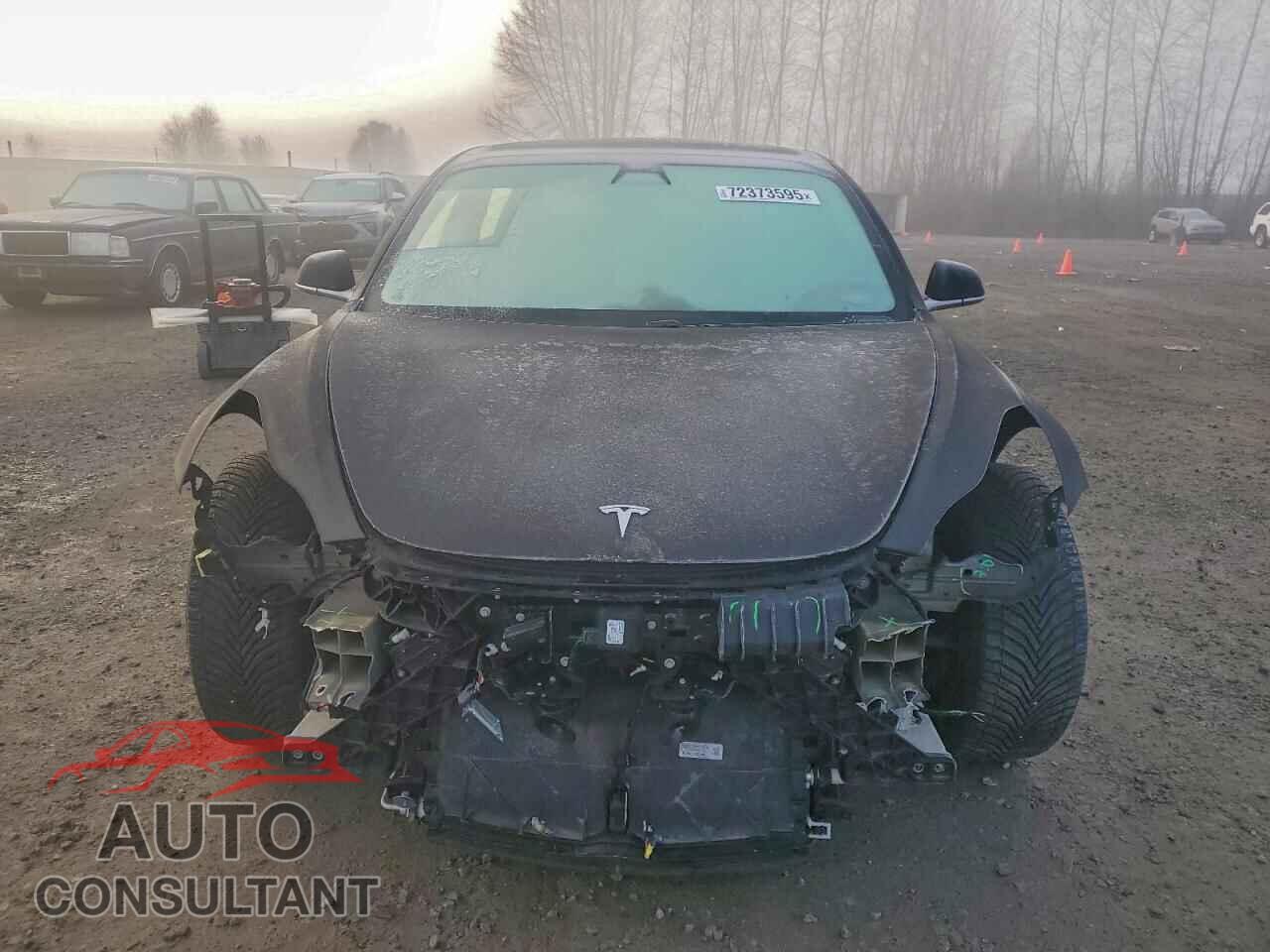 TESLA MODEL 3 2019 - 5YJ3E1EA1KF193141