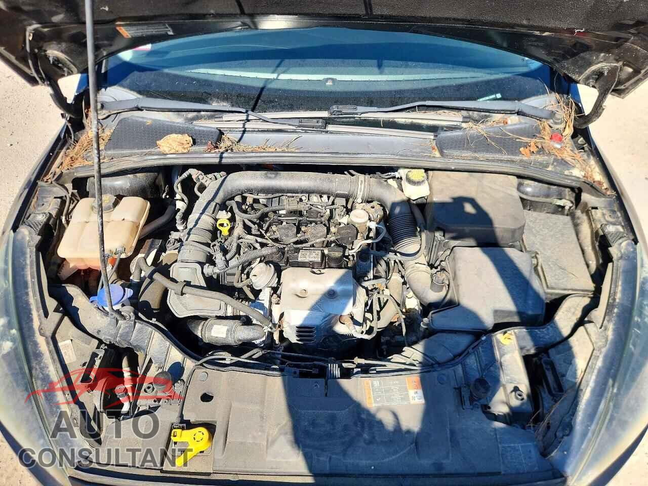 FORD FOCUS 2017 - 1FADP3FEXHL256597