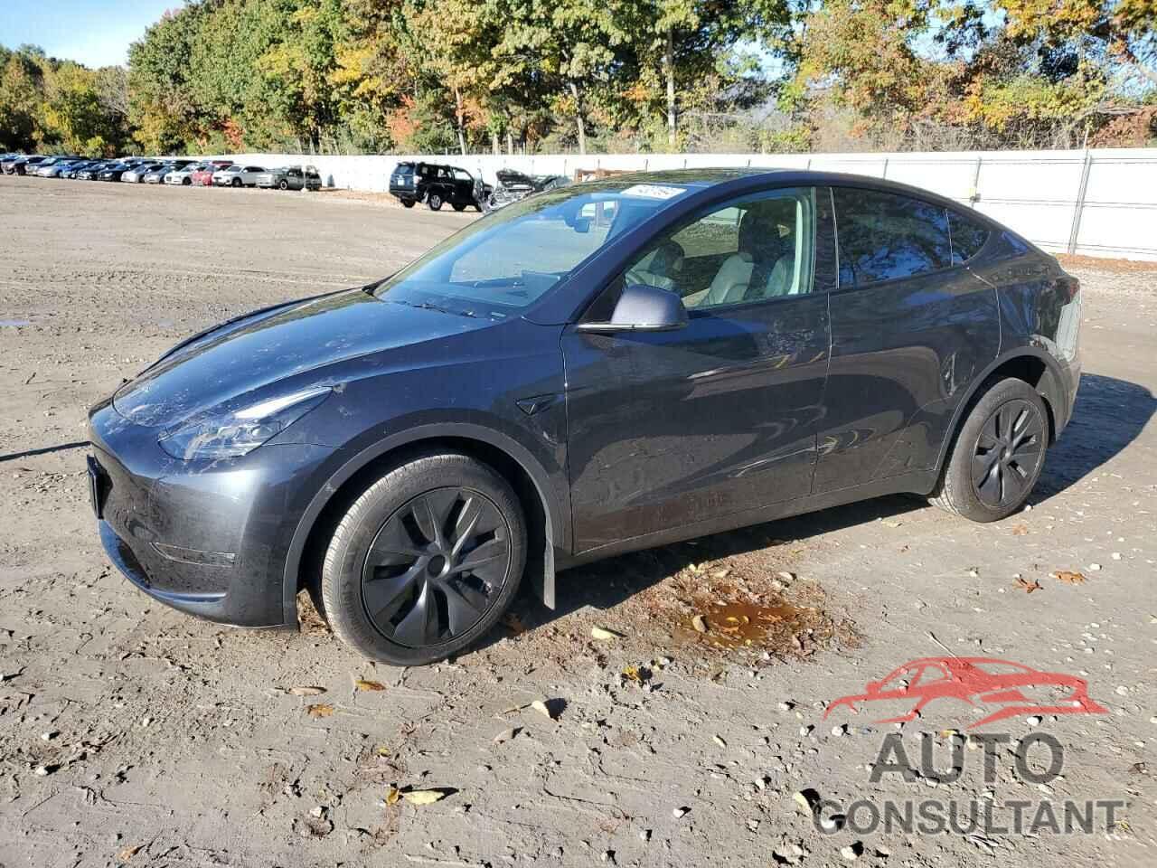 TESLA MODEL Y 2024 - 7SAYGDEE1RF165535