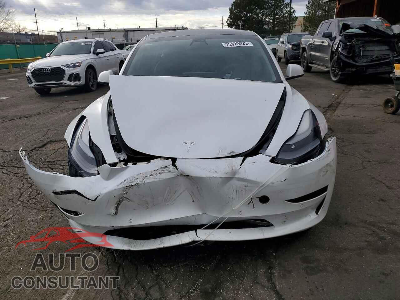 TESLA MODEL 3 2021 - 5YJ3E1EB2MF010079