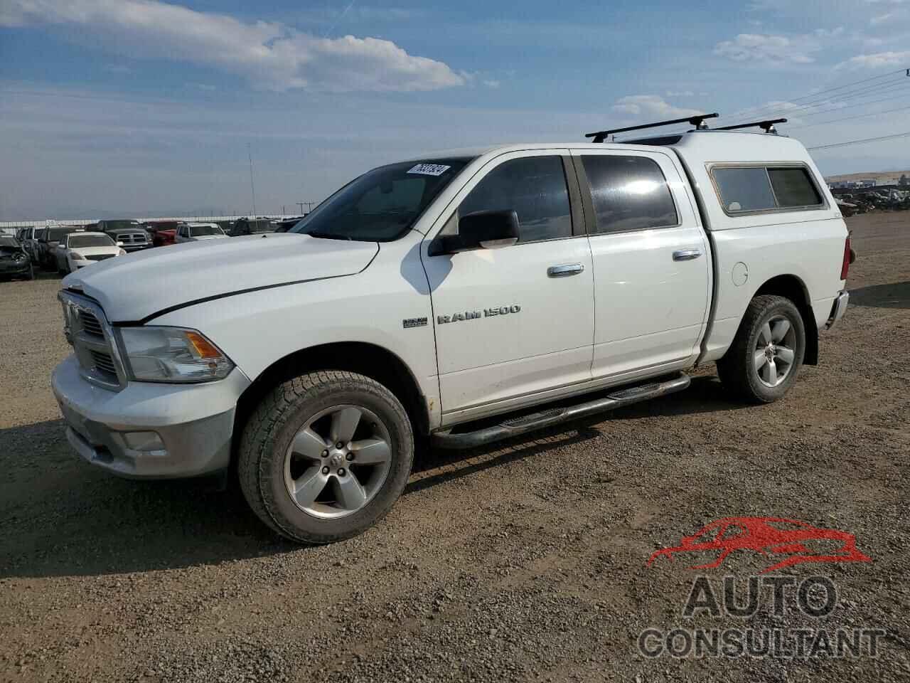 DODGE All Models 2011 - 1D7RV1CT9BS597697