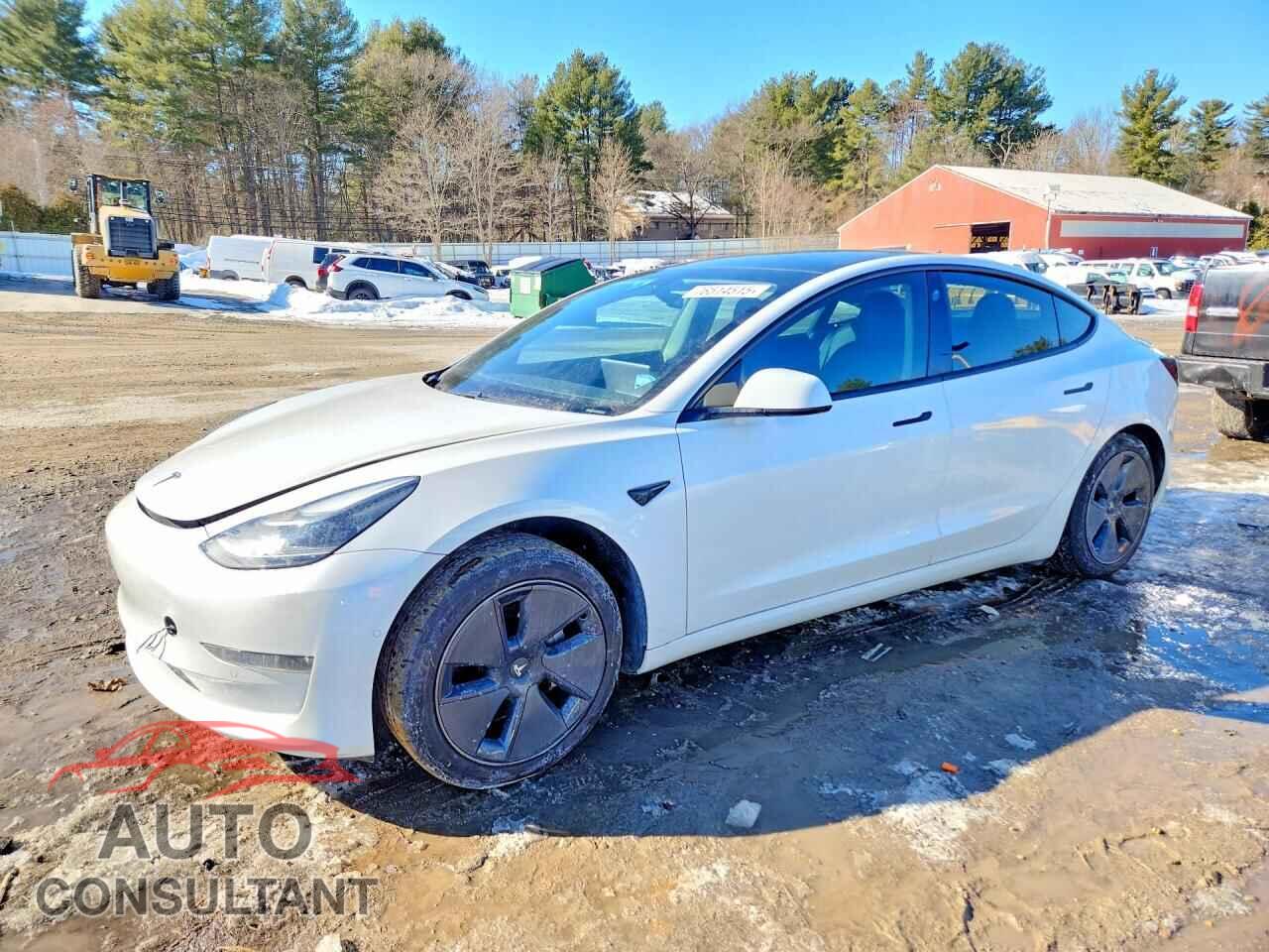 TESLA MODEL 3 2021 - 5YJ3E1EB1MF980067