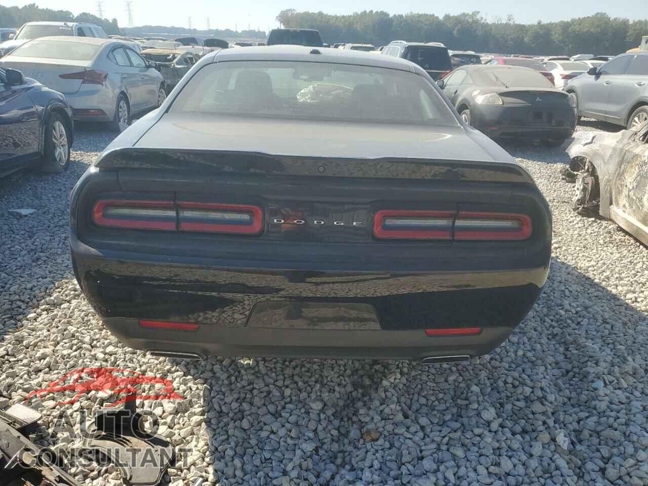 DODGE CHALLENGER 2019 - 2C3CDZAG7KH723347